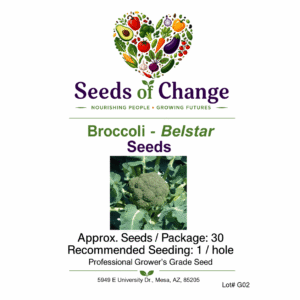 Broccoli – Belstar – Seeds
