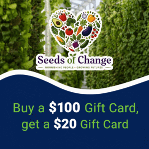Buy a $100 Gift Card, get a $20 BONUS!