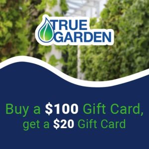 Buy a $100 Gift Card, get a $20 BONUS!