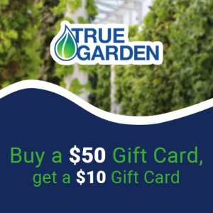 Buy a $50 Gift Card, get a $10 BONUS!
