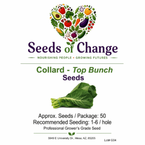 Collard – Top Bunch – seeds