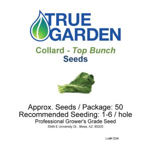 Collard – Top Bunch – seeds