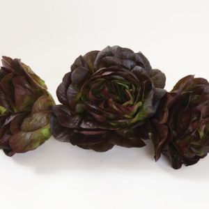 Lettuce – Salanova Red Butter