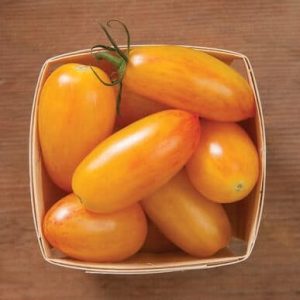 Tomato – Blush (Heirloom)