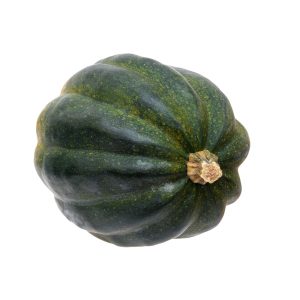 Squash – Green. Winter Acorn Tuffy