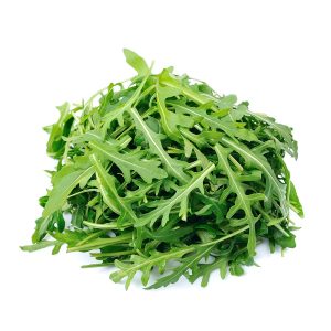 -- Arugula -- speical -- offer