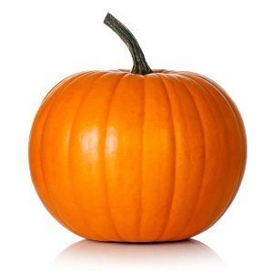 Squash – Pumpkin Racer