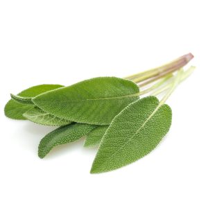 Sage – Common