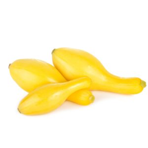 Squash – Yellow Gold Star