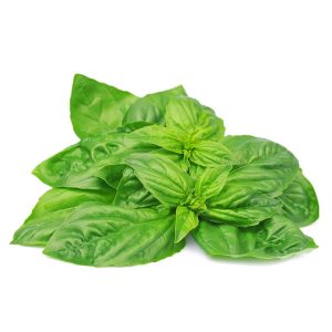 Basil – Nufar