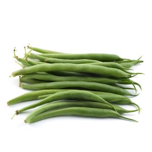 Provider (Bush Beans)