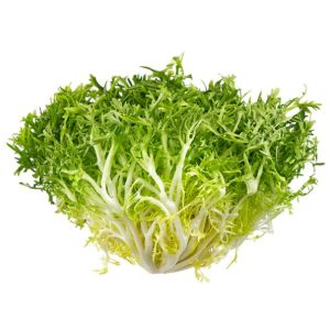 Lettuce – Endive