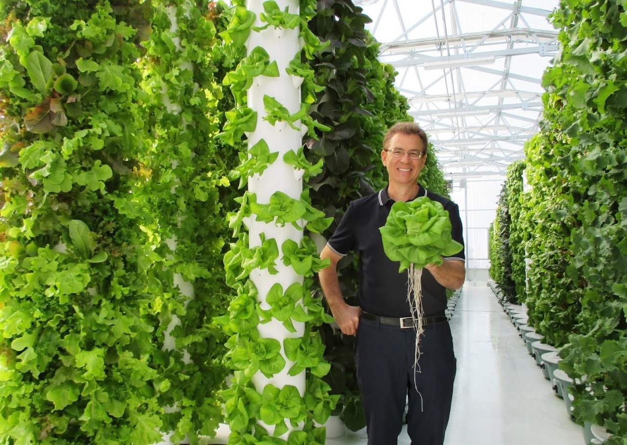 imgi_10_aeroponic-greenhouse-tower-garden