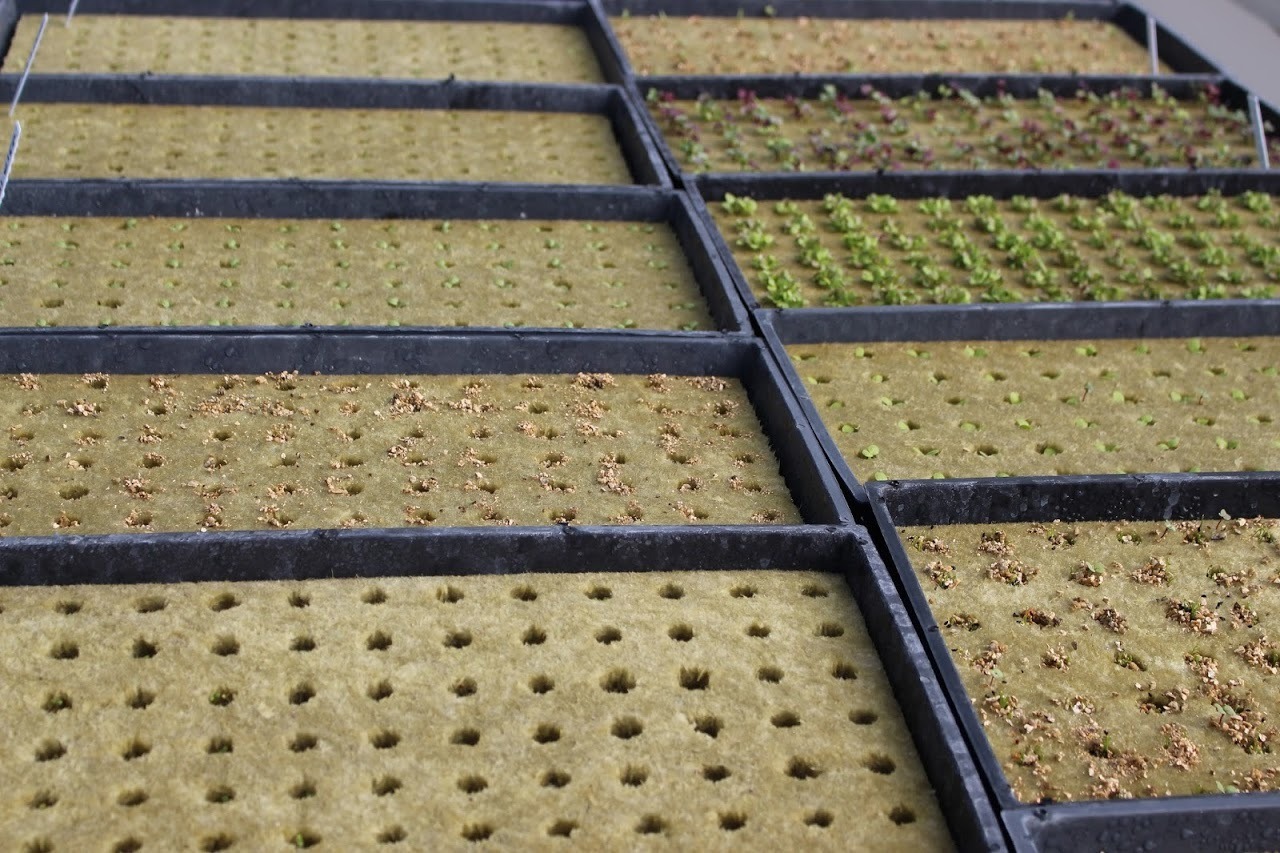 imgi_13_aeroponic-greenhouse-tower-garden-4