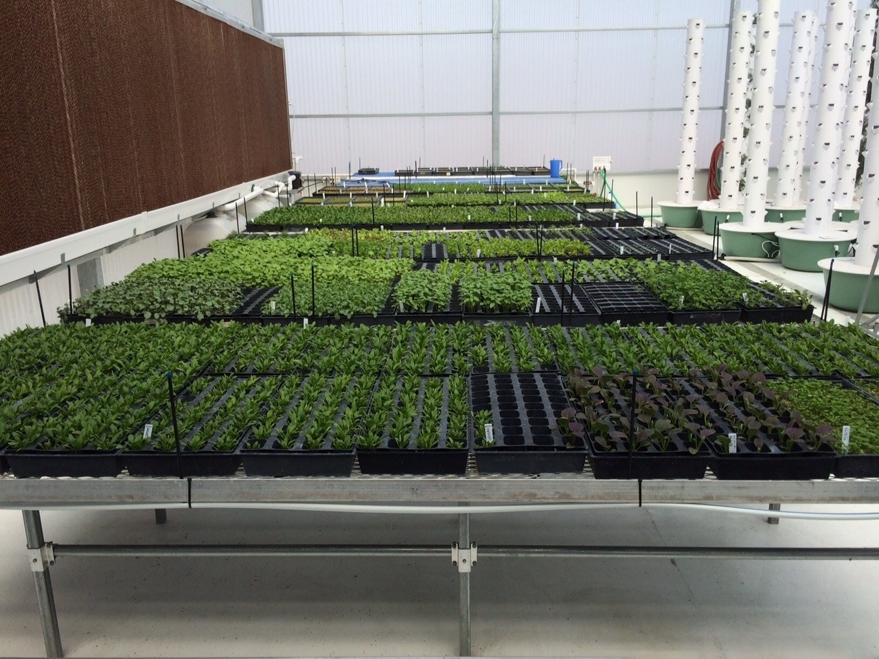 imgi_16_aeroponic-greenhouse-tower-garden-6