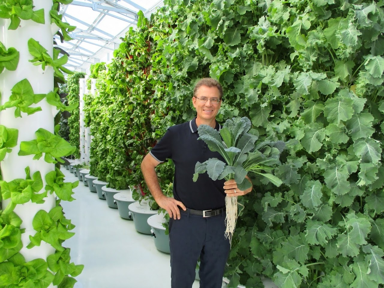 imgi_17_aeroponic-greenhouse-tower-garden-7