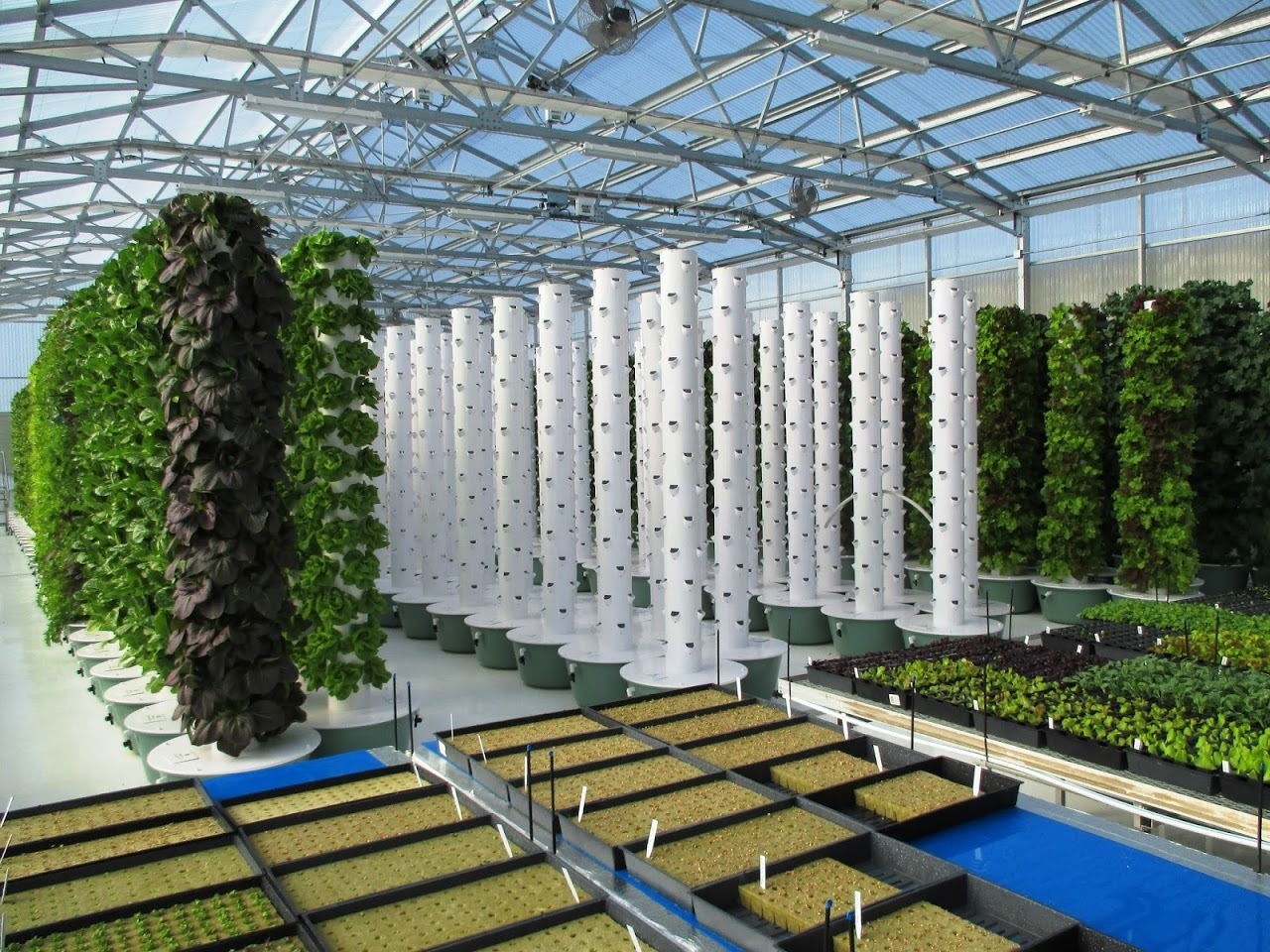 imgi_20_tg-greenhouse-2