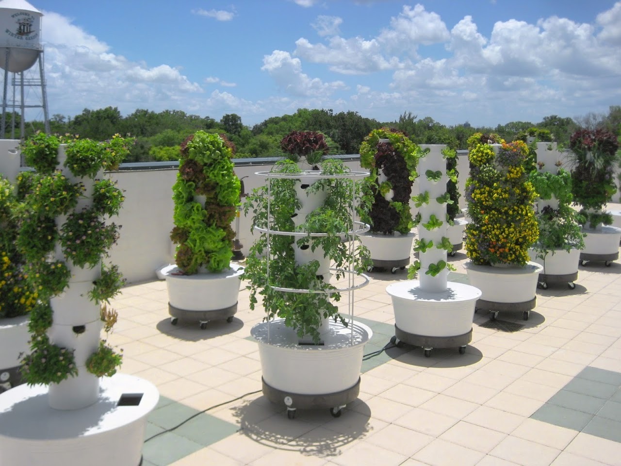 imgi_55_rooftopgardenprojectflorida