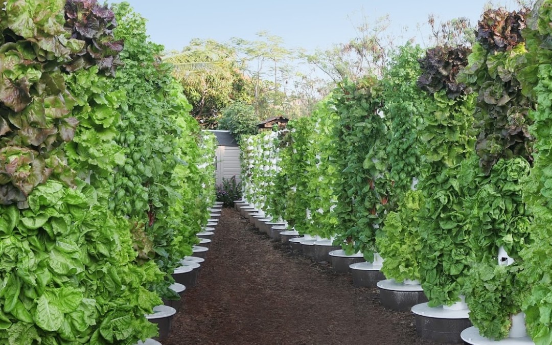 imgi_8_01-1080x675-1