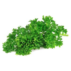 Parsley – Giant of Italy