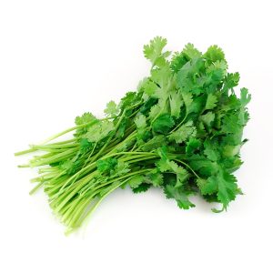 Cilantro – Santo
