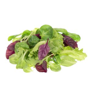 Lettuce All Star Spring Mix