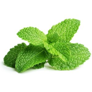 Mint common (Granny Blank)