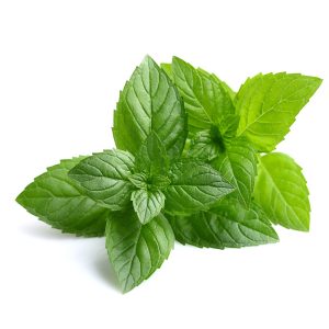 Peppermint – Watcom