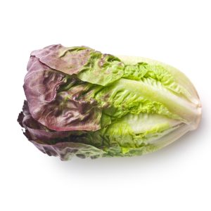 Lettuce – Red Romaine
