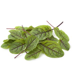 Sorrel – Red Veined