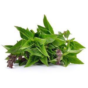 Basil – Thai