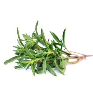 Thyme – German Winter