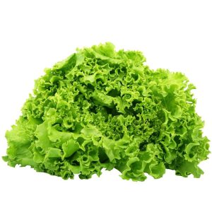 Lettuce – Tropicana (Looseleaf)