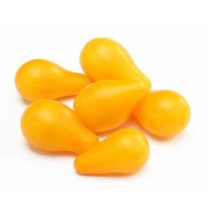 Tomato – Yellow Pear Heirloom