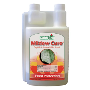 Mildew Cure For Powdery Mildew