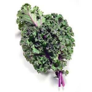 Kale – Red Russian