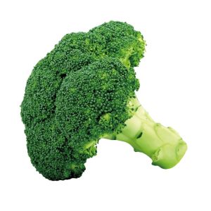 Broccoli – Belstar (head)