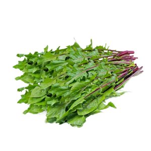 Dandelion – Italiko Red