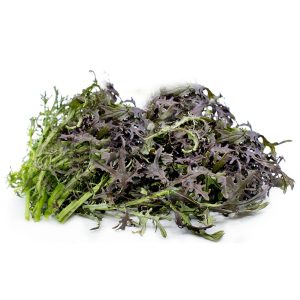 Mustard Greens – Scarlet Frills