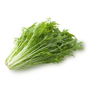 Mizuna – Mizuna (Green)