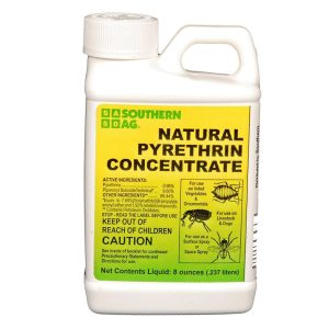 Pyrethrin (Natural Concentrate)