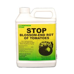 Stop Blossom-End Rot of Tomatoes