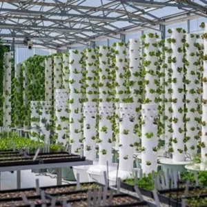 Commercial Tower Farm Workshop