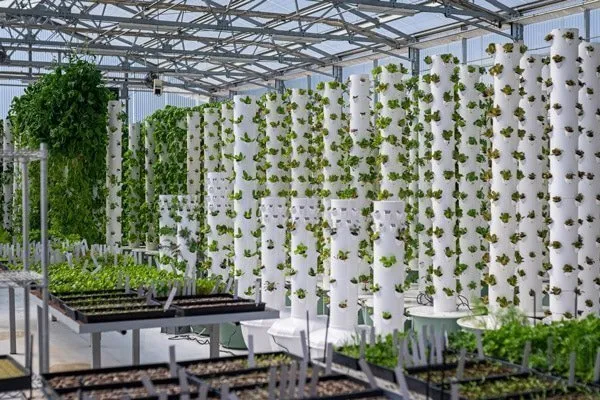 Commercial Tower Farm Workshop